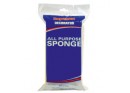 All Purpose Sponge