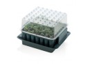 Plug Plant Trainer